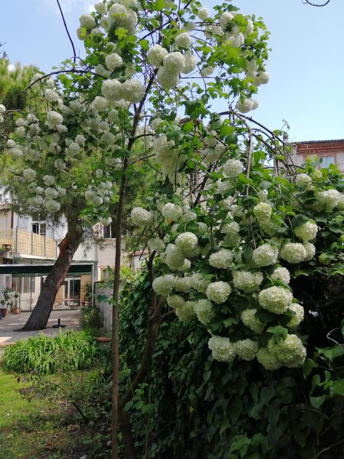 Chambre D'Hotes Pmr Hildegarde Moissac Exterior foto
